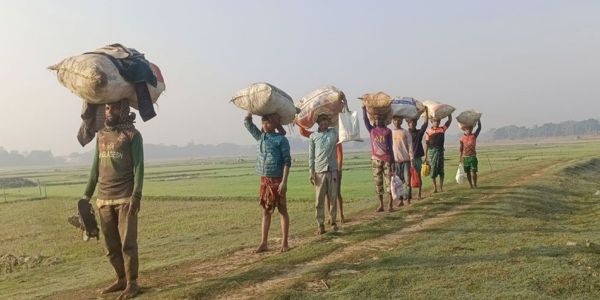 বোরো আবাদে নেত্রকোনায় কৃষকের দুশ্চিন্তা